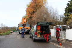 Baumfaellung-odelzhausen-2015-01