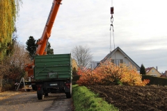 Baumfaellung-odelzhausen-2015-09