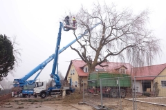 baumfaellarbeiten-pfaffenhofen-2016-06