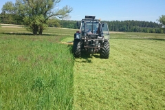 Landwirtschaftliche_pflege-heckenschnitt-06