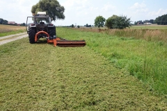 Landwirtschaftliche_pflege-heckenschnitt-10