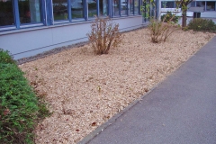 Rindenmulch-auf-pflanzflaeche-verteilen-1