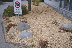 Rindenmulch-auf-pflanzflaeche-verteilen-3