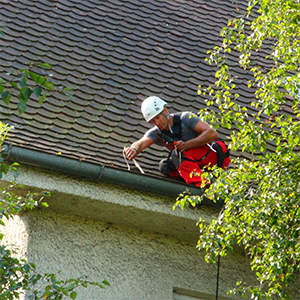 Dachrinnenreinigung