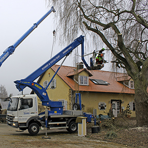 Hebebühnenarbeiten